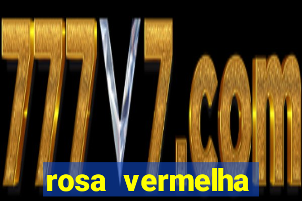 rosa vermelha (letra e cifra)